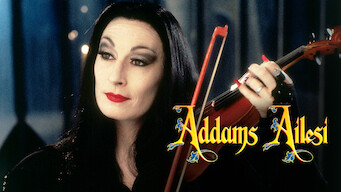 Addams Ailesi (1991)